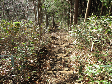 20161229hike (215)